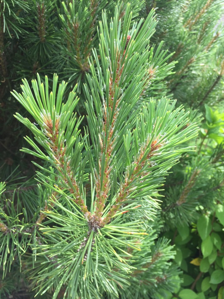 B85FA05D-07D5-4BE3-BBBE-CB066C9B24FC